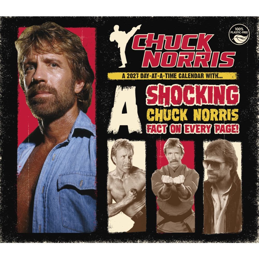 Chuck Norris 2027 Desk Calendar Sixth Alternate Image