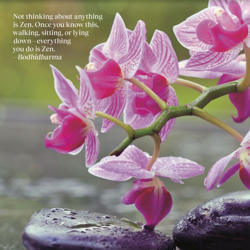 Zen 2027 Mini Wall Calendar Third Alternate Image