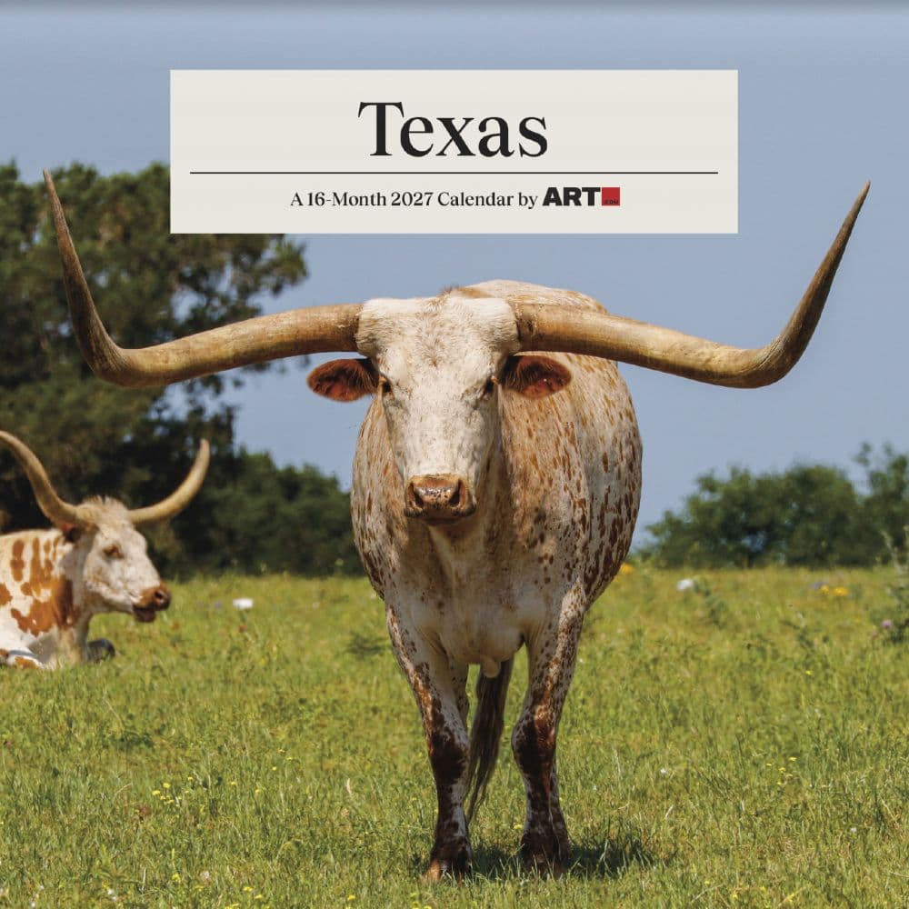 Texas 2027 Mini Wall Calendar Main Product Image