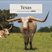 image Texas 2027 Mini Wall Calendar Main Product Image