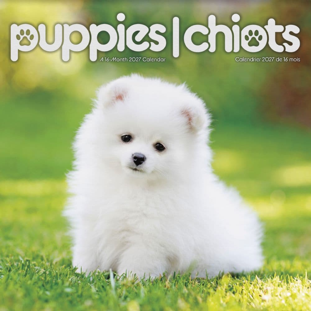 Puppies -Bilingual French- 2027 Mini Wall Calendar Main Product Image