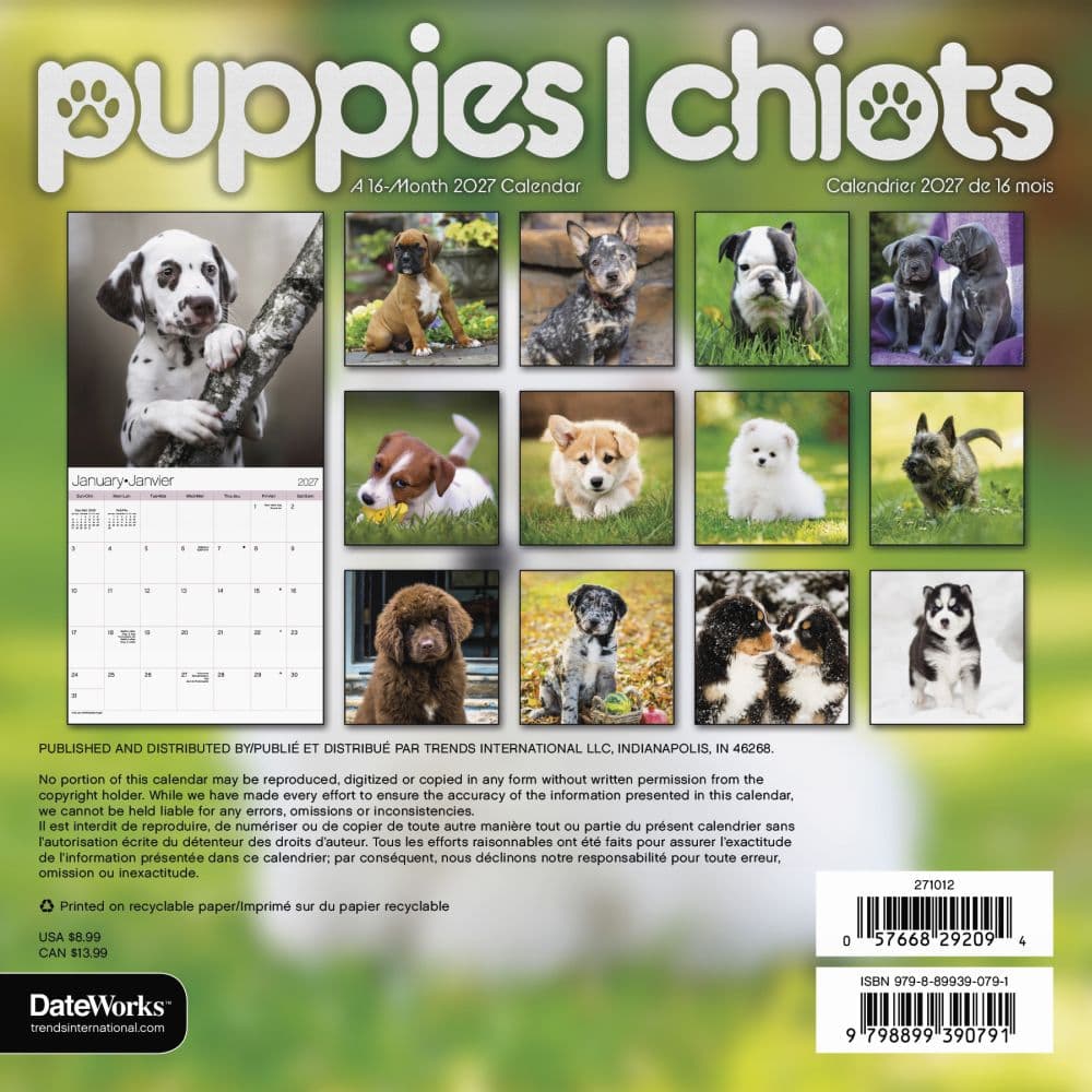 Puppies -Bilingual French- 2027 Mini Wall Calendar Third Alternate Image