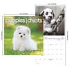image Puppies -Bilingual French- 2027 Mini Wall Calendar Sixth Alternate Image