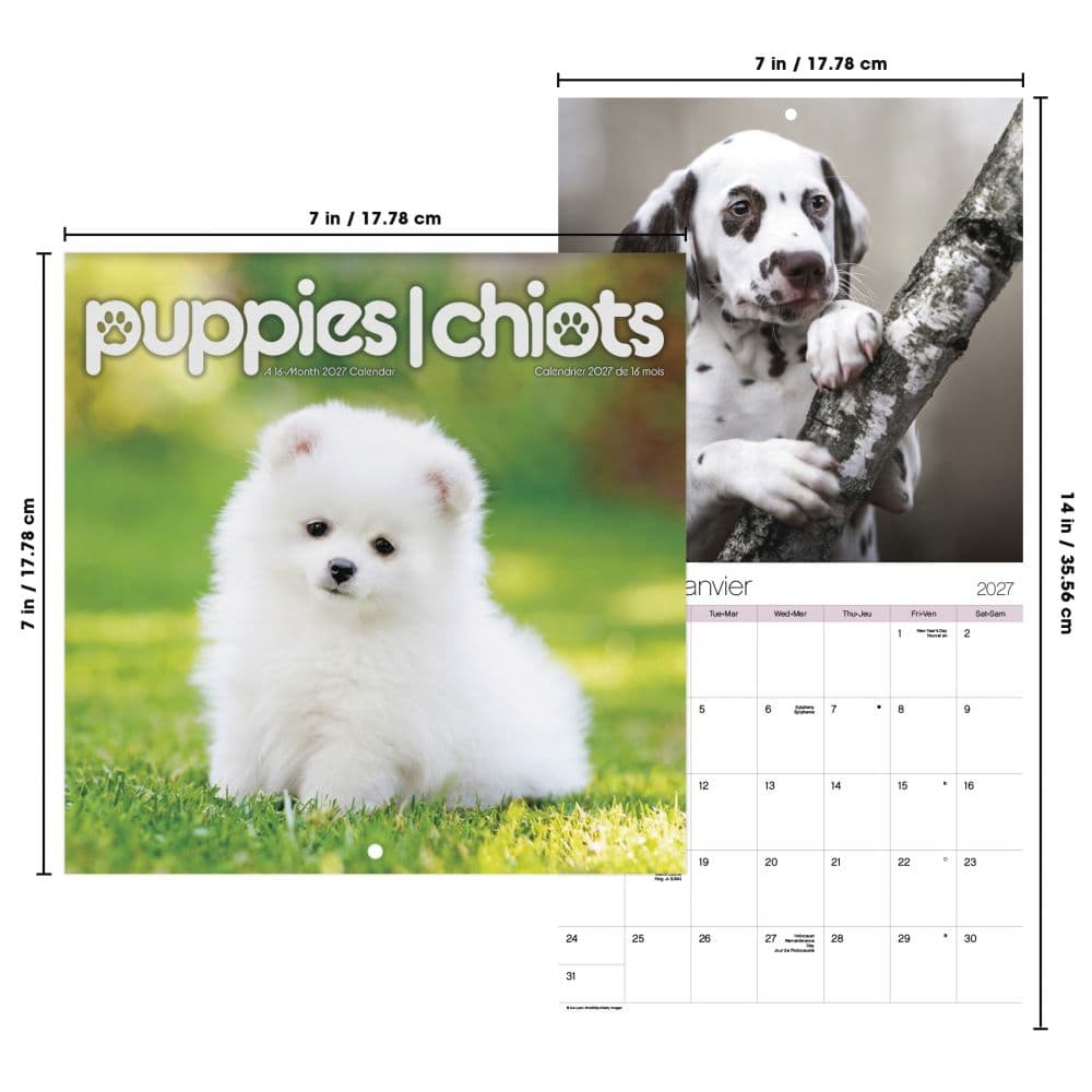 Puppies -Bilingual French- 2027 Mini Wall Calendar Sixth Alternate Image