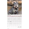 image Puppies 2027 Mini Wall Calendar Second Alternate Image