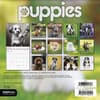 image Puppies 2027 Mini Wall Calendar Third Alternate Image
