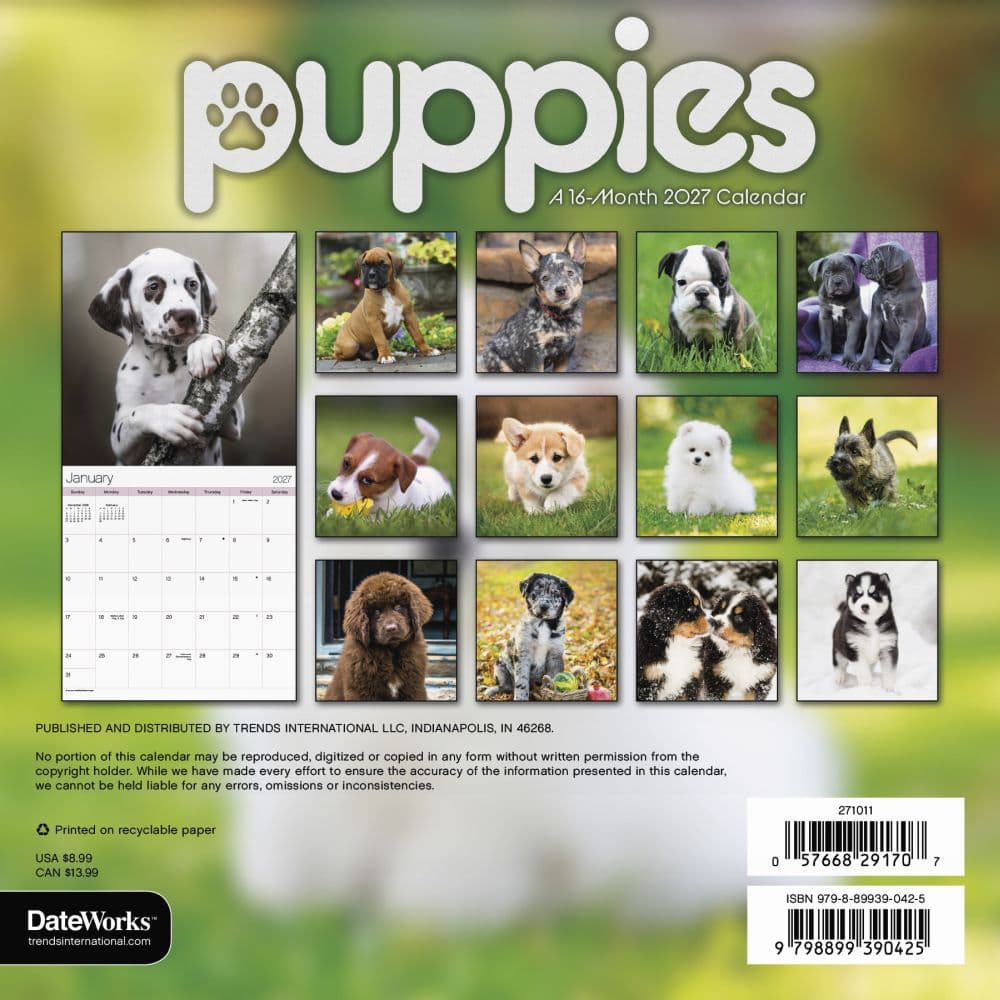 Puppies 2027 Mini Wall Calendar Third Alternate Image