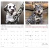 image Puppies 2027 Mini Wall Calendar Fifth Alternate Image
