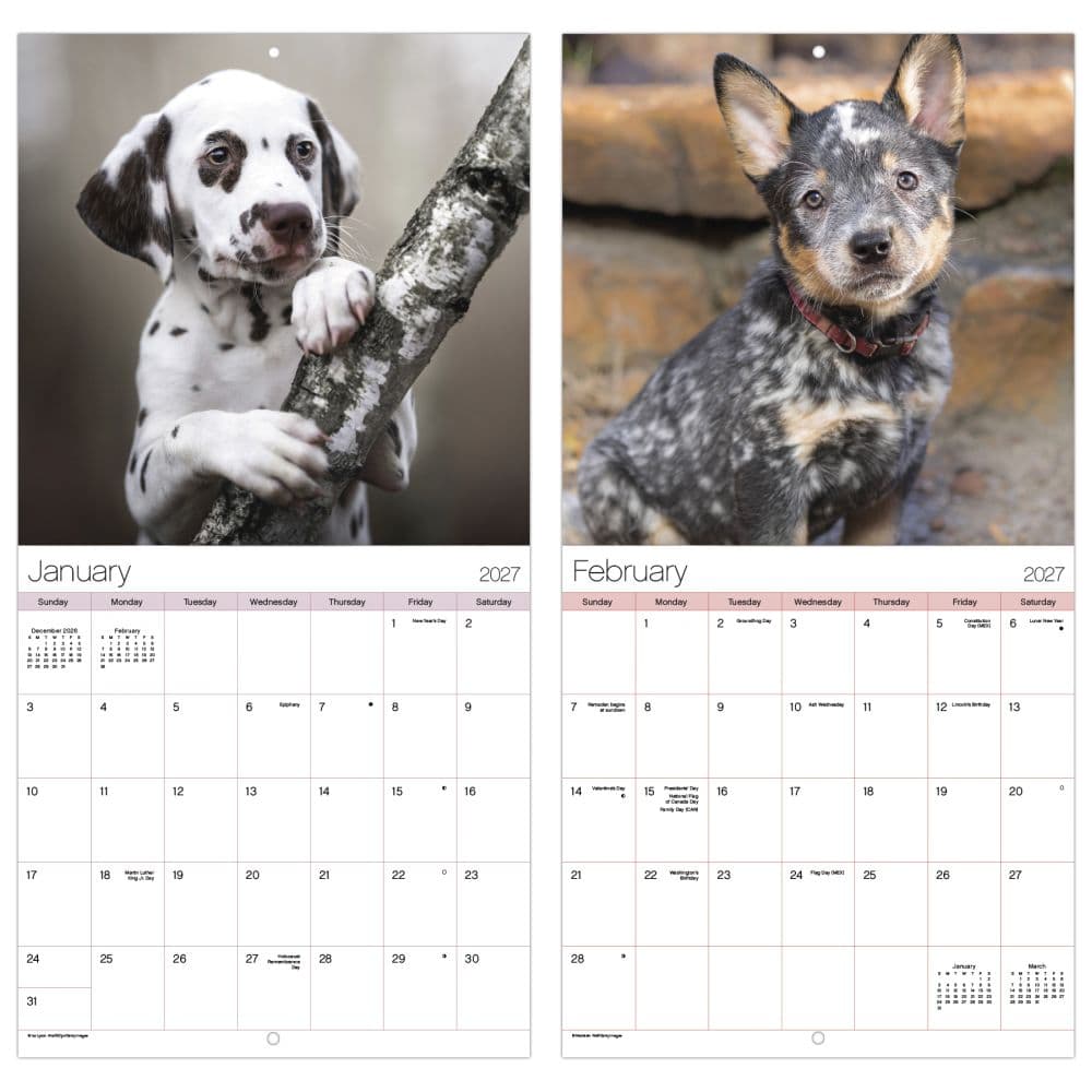 Puppies 2027 Mini Wall Calendar Fifth Alternate Image