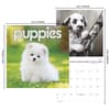 image Puppies 2027 Mini Wall Calendar Sixth Alternate Image