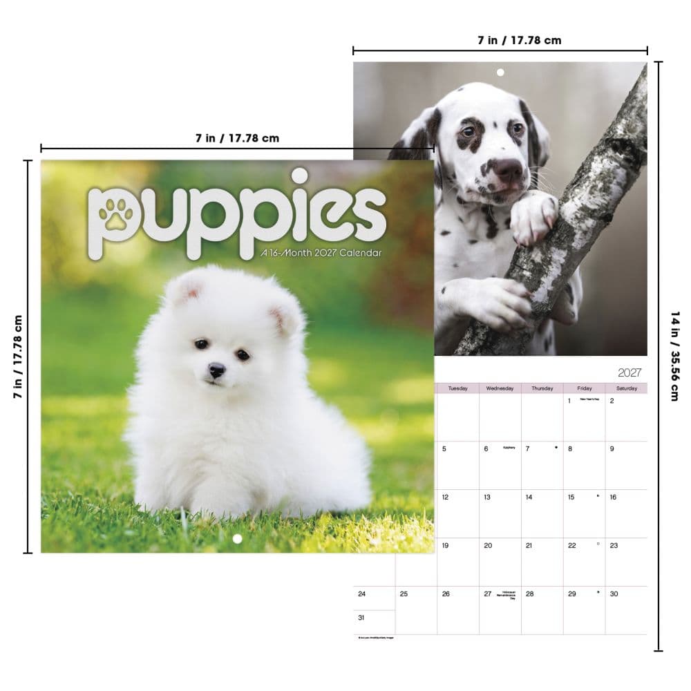 Puppies 2027 Mini Wall Calendar Sixth Alternate Image