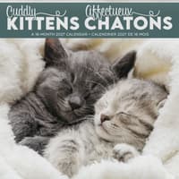 image Cuddly Kittens -Bilingual French- 2027 Mini Wall Calendar Main Product Image