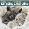 image Cuddly Kittens -Bilingual French- 2027 Mini Wall Calendar Main Product Image