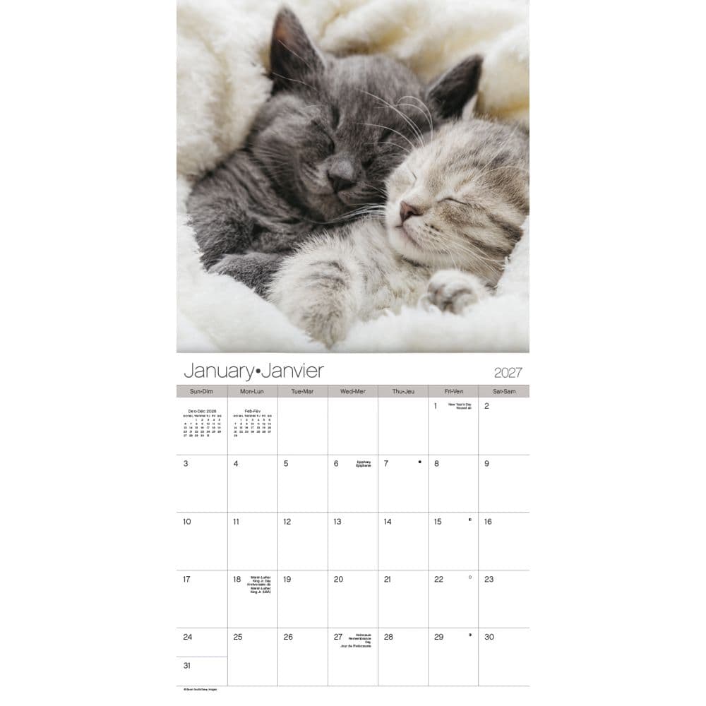 Cuddly Kittens -Bilingual French- 2027 Mini Wall Calendar First Alternate Image
