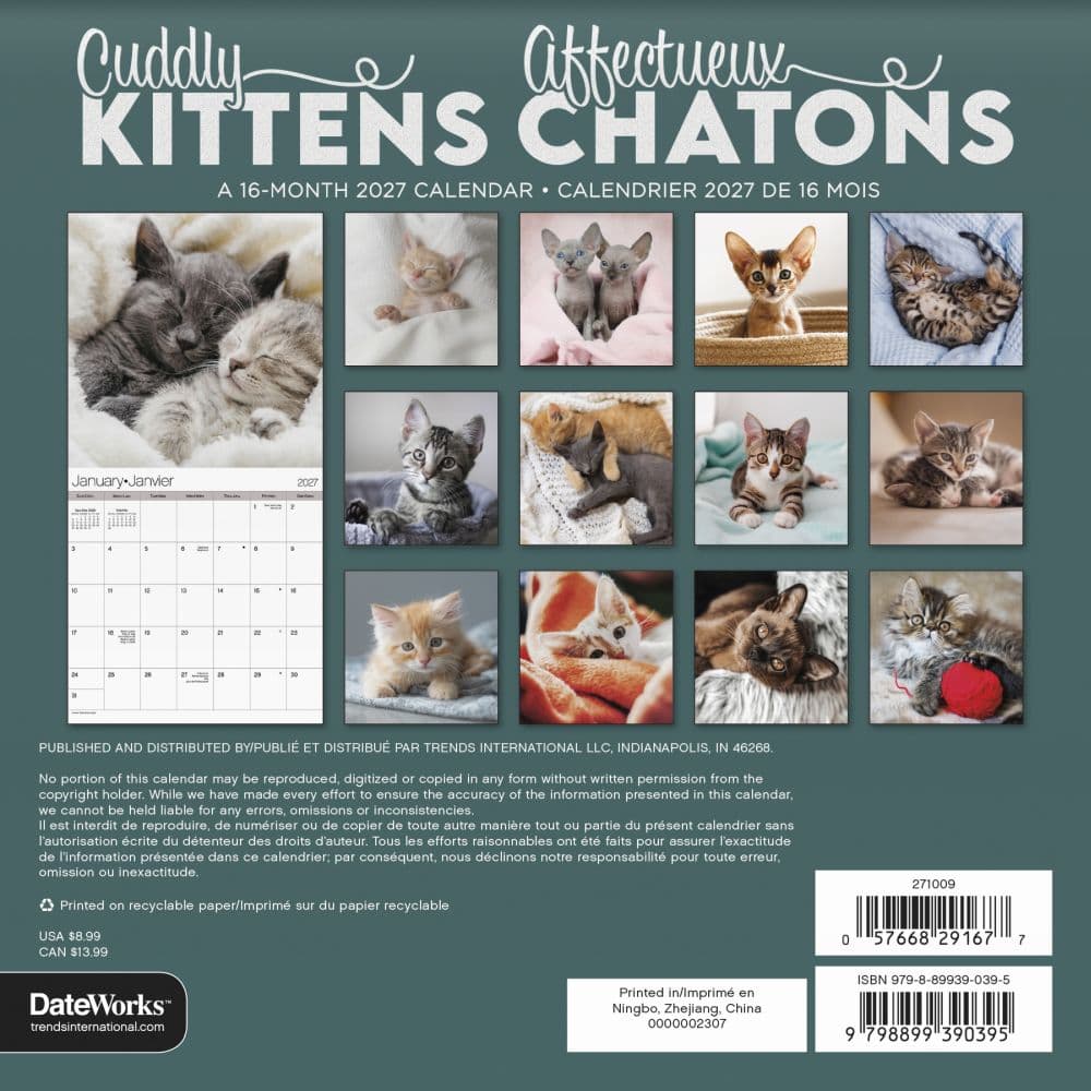 Cuddly Kittens -Bilingual French- 2027 Mini Wall Calendar Third Alternate Image