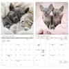 image Cuddly Kittens -Bilingual French- 2027 Mini Wall Calendar Fifth Alternate Image