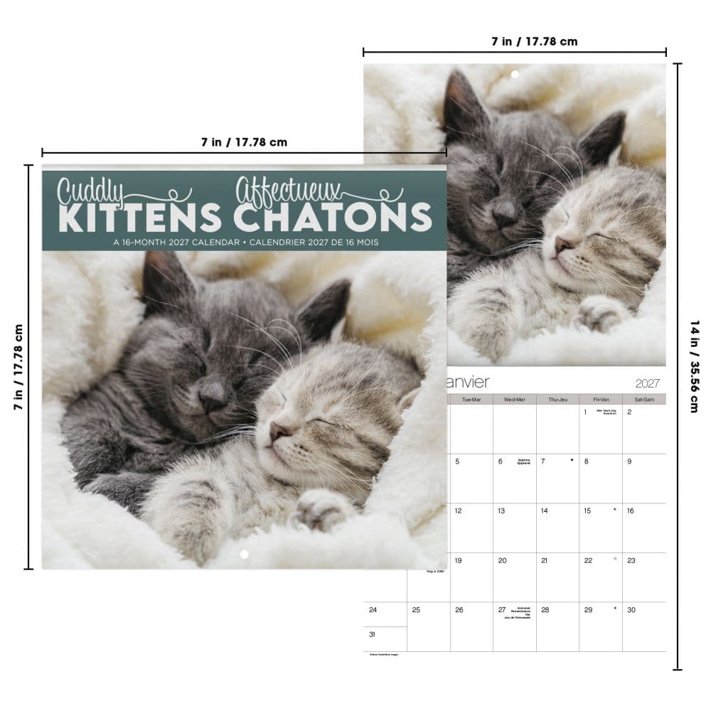 Cuddly Kittens -Bilingual French- 2027 Mini Wall Calendar Sixth Alternate Image