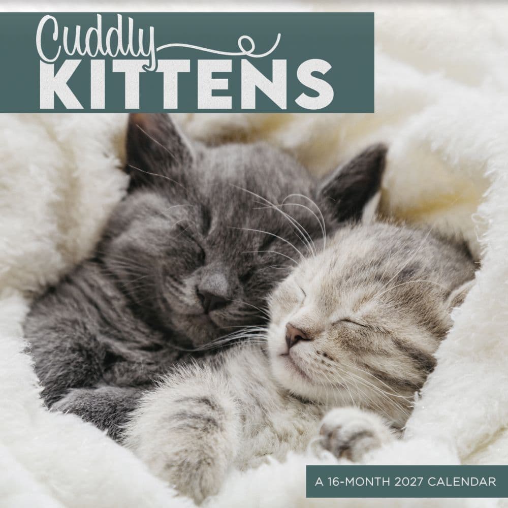 Cuddly Kittens 2027 Mini Wall Calendar Main Product Image