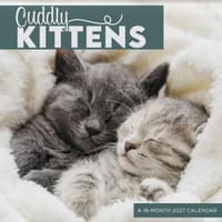 image Cuddly Kittens 2027 Mini Wall Calendar Main Product Image