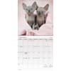 image Cuddly Kittens 2027 Mini Wall Calendar Second Alternate Image