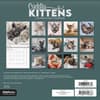 image Cuddly Kittens 2027 Mini Wall Calendar Third Alternate Image
