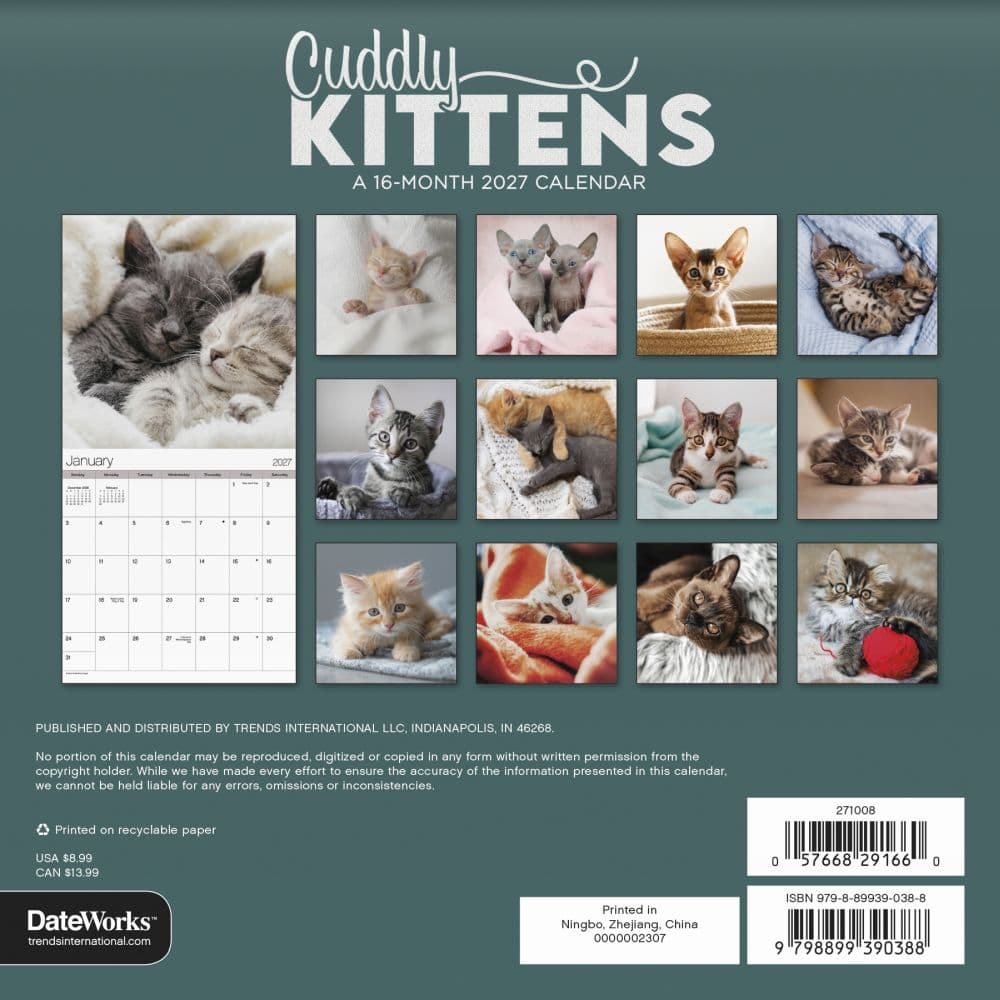 Cuddly Kittens 2027 Mini Wall Calendar Third Alternate Image
