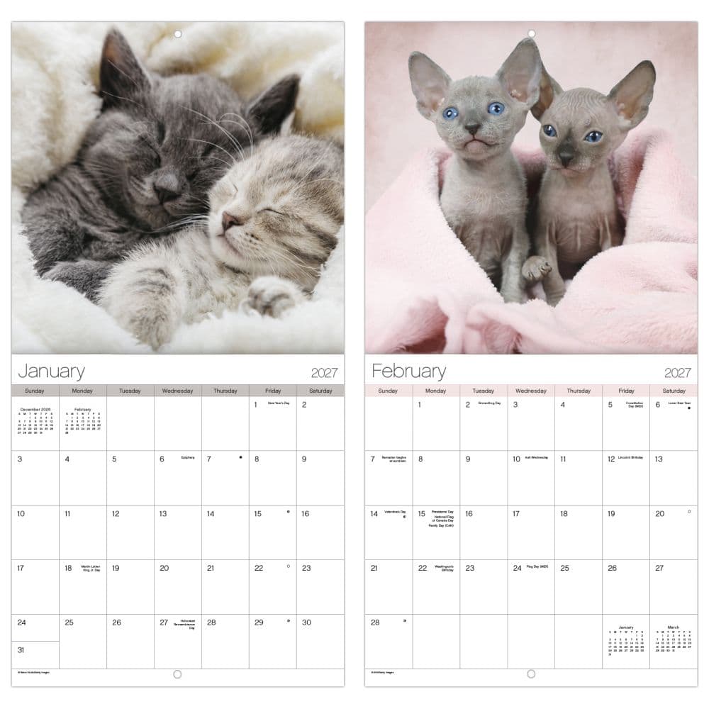 Cuddly Kittens 2027 Mini Wall Calendar Fifth Alternate Image