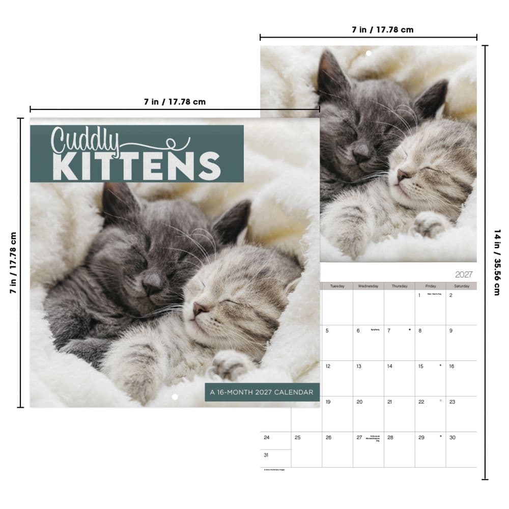 Cuddly Kittens 2027 Mini Wall Calendar Sixth Alternate Image
