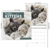 image Cuddly Kittens 2027 Mini Wall Calendar Sixth Alternate Image