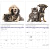 image Buddies -Bilingual French- 2027 Mini Wall Calendar Fifth Alternate Image