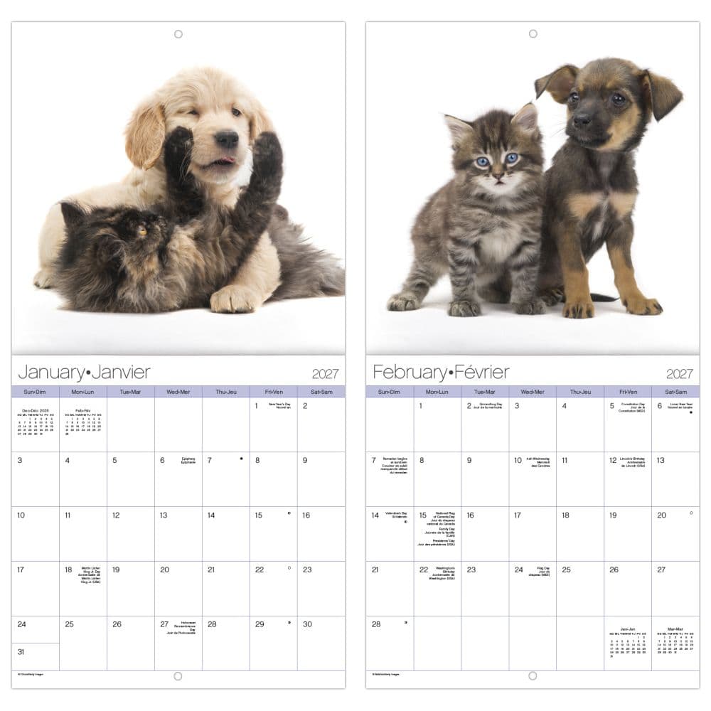 Buddies -Bilingual French- 2027 Mini Wall Calendar Fifth Alternate Image
