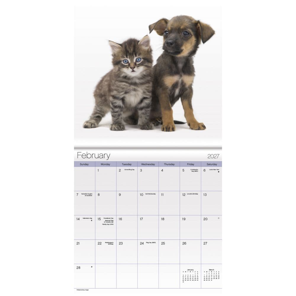 Buddies 2027 Mini Wall Calendar Second Alternate Image