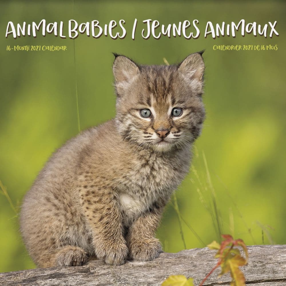 Animal Babies -Bilingual French- 2027 Mini Wall Calendar Main Product Image