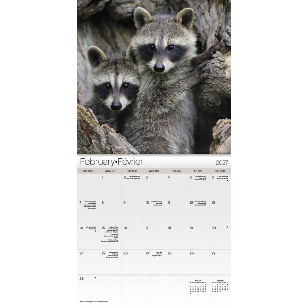 Animal Babies -Bilingual French- 2027 Mini Wall Calendar Second Alternate Image