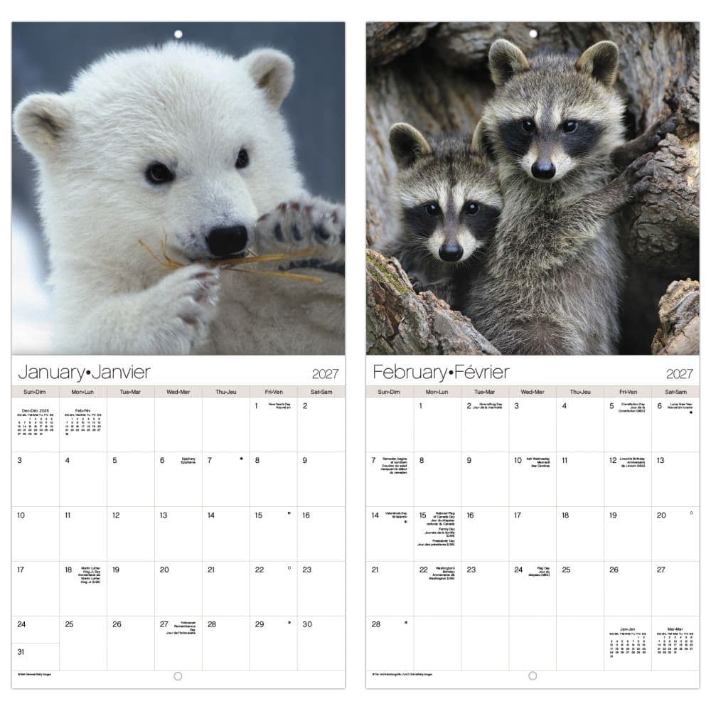 Animal Babies -Bilingual French- 2027 Mini Wall Calendar Fifth Alternate Image