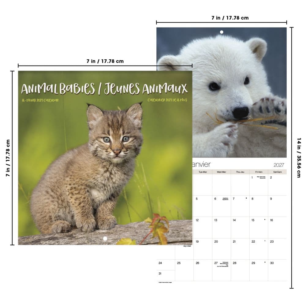 Animal Babies -Bilingual French- 2027 Mini Wall Calendar Sixth Alternate Image