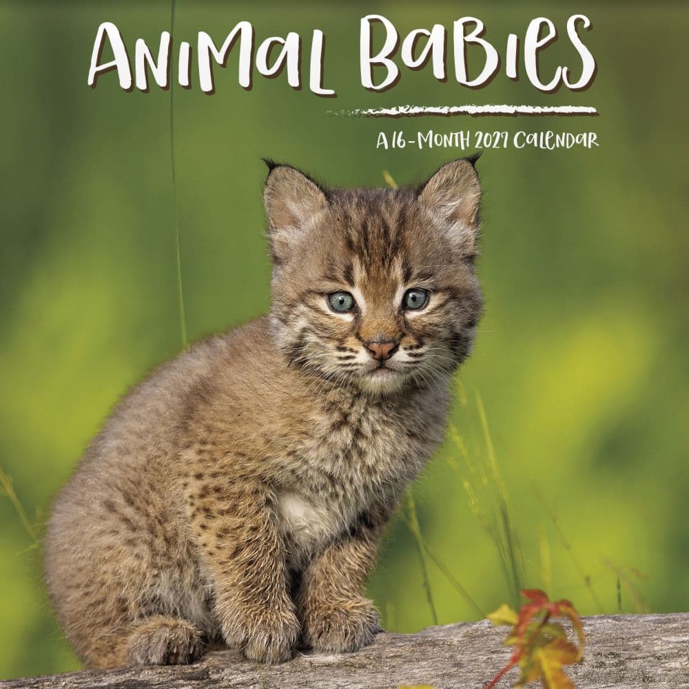 Animal Babies 2027 Mini Wall Calendar Main Product Image