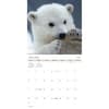 image Animal Babies 2027 Mini Wall Calendar First Alternate Image