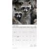 image Animal Babies 2027 Mini Wall Calendar Second Alternate Image
