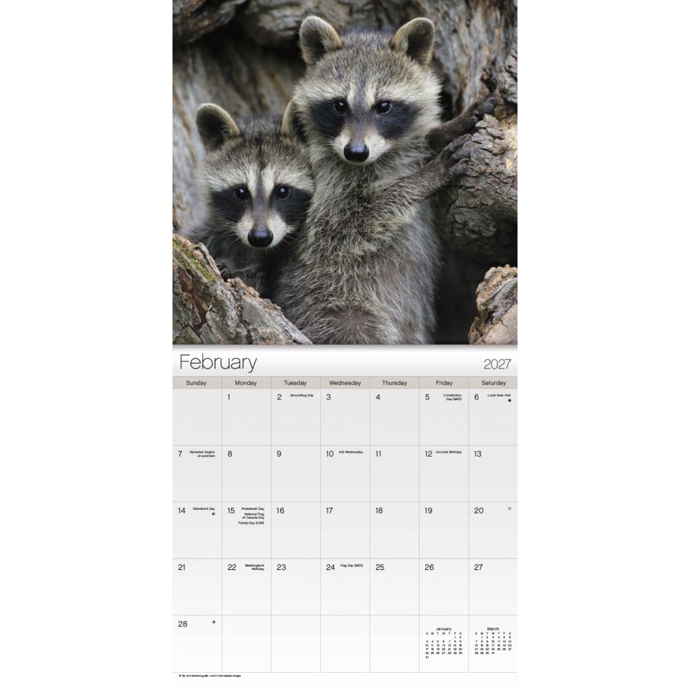 Animal Babies 2027 Mini Wall Calendar Second Alternate Image