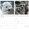 image Animal Babies 2027 Mini Wall Calendar Fifth Alternate Image