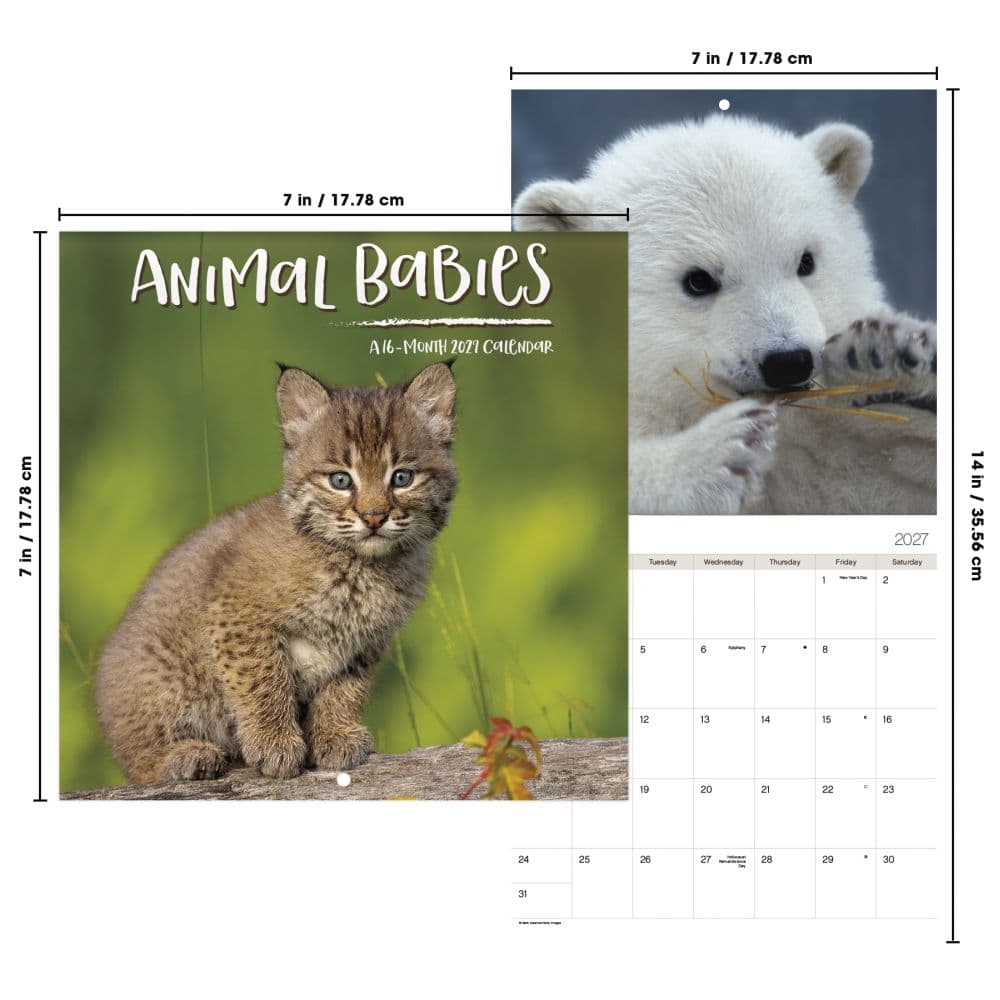 Animal Babies 2027 Mini Wall Calendar Sixth Alternate Image