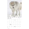 image Wolves Bilingual French 2027 Wall Calendar First Alternate Image