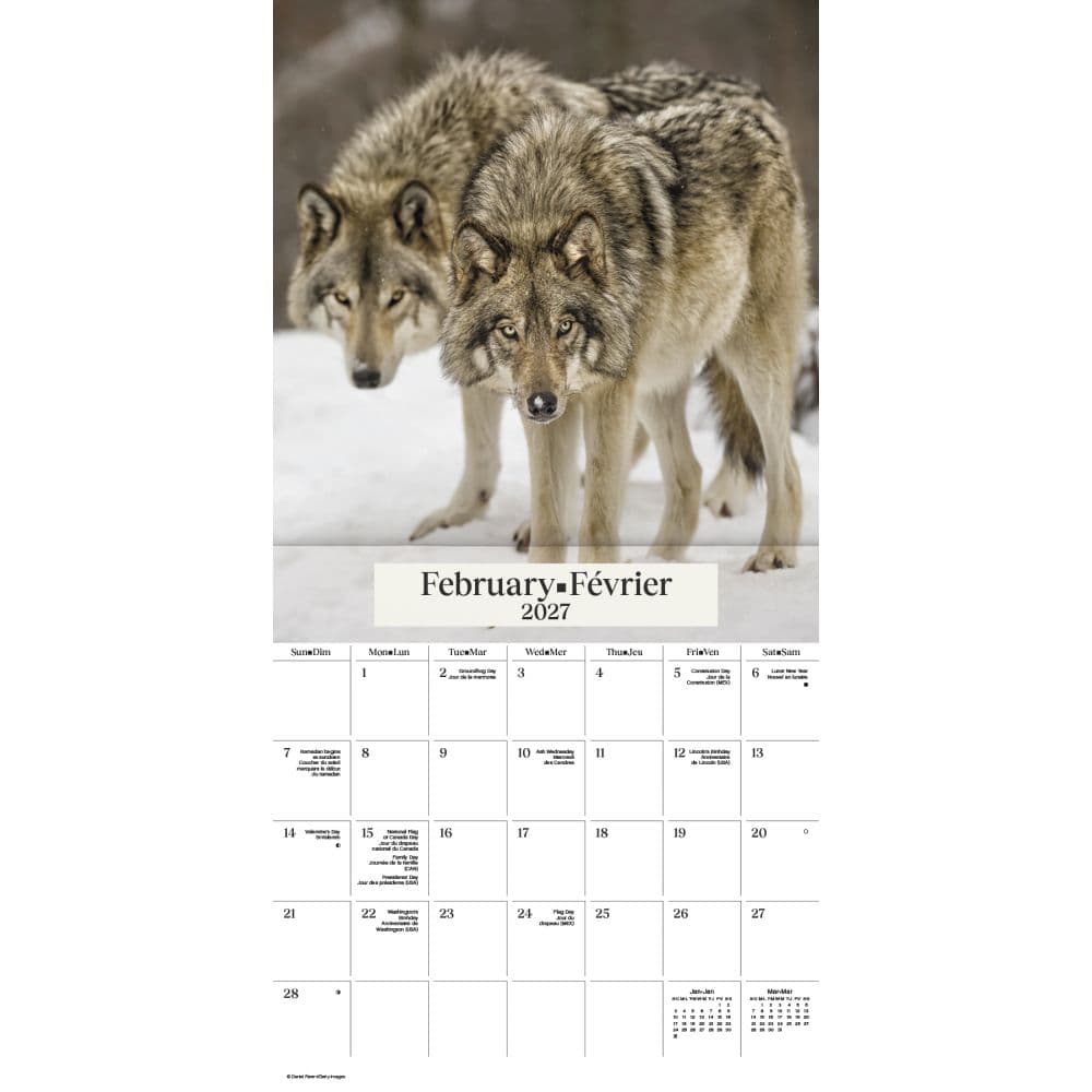 Wolves Bilingual French 2027 Wall Calendar Second Alternate Image