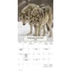 image Wolves Bilingual French 2027 Wall Calendar Second Alternate Image