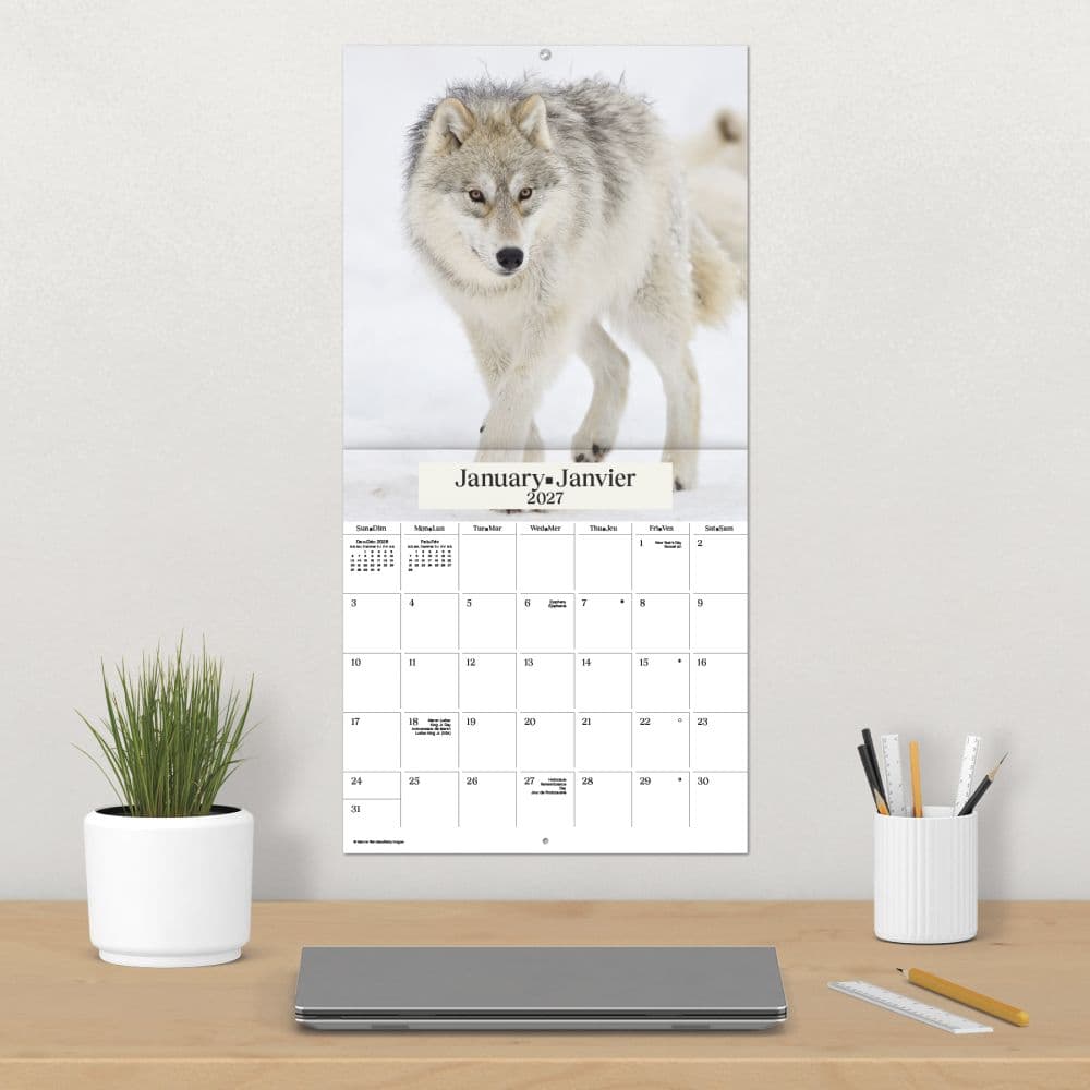 Wolves Bilingual French 2027 Wall Calendar Fourth Alternate Image