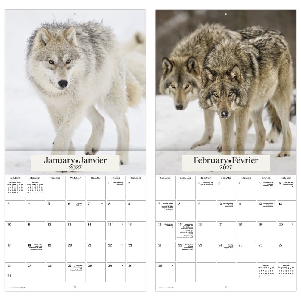 Wolves Bilingual French 2027 Wall Calendar Fifth Alternate Image