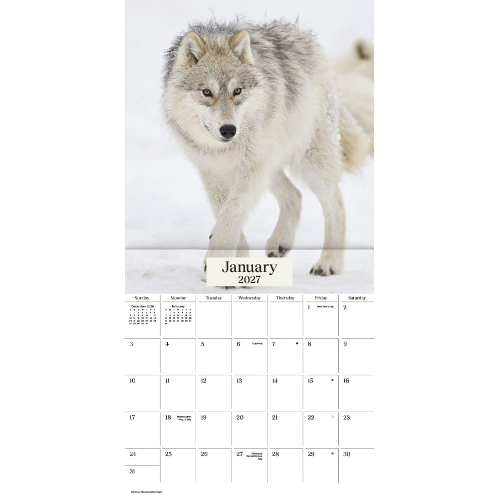 Wolves 2027 Wall Calendar First Alternate Image