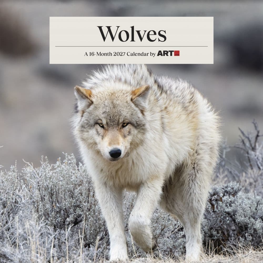 Wolves 2027 Wall Calendar Main Product Image