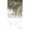image Wolves 2027 Wall Calendar Second Alternate Image